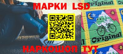 сатива Кандалакша
