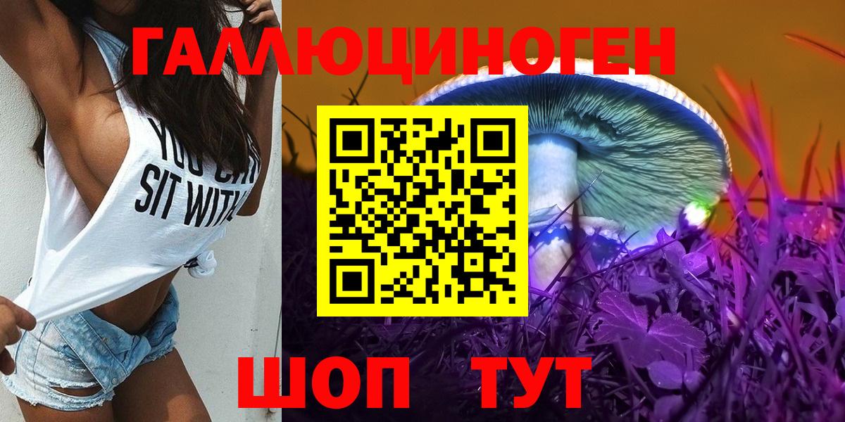 Галлюциногенные грибы Psilocybe Лабинск