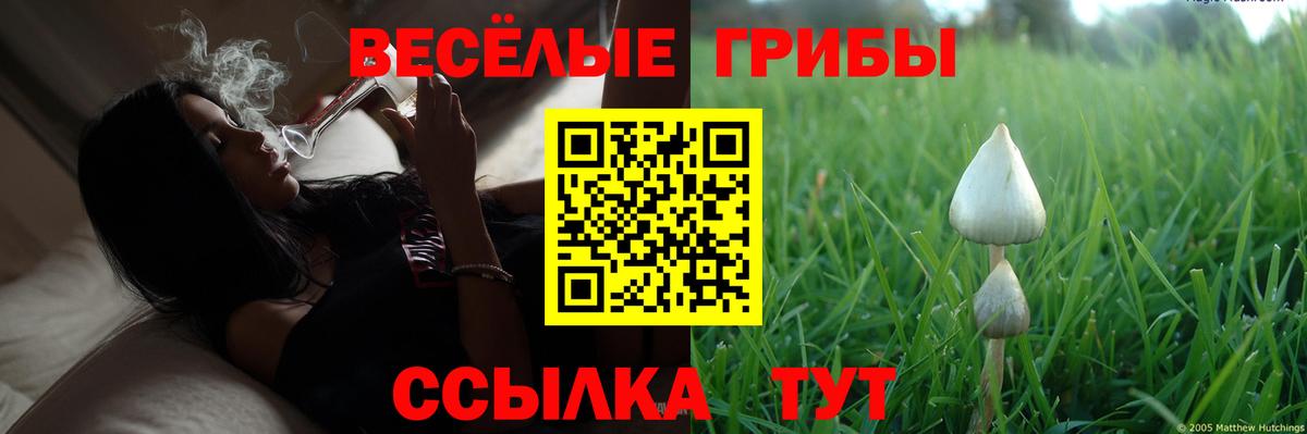 Псилоцибиновые грибы Psilocybe  Вход с VPN  Галлюциногенные грибы Psilocybine cubensis  Лабинск 